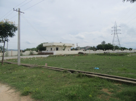 North Facing
